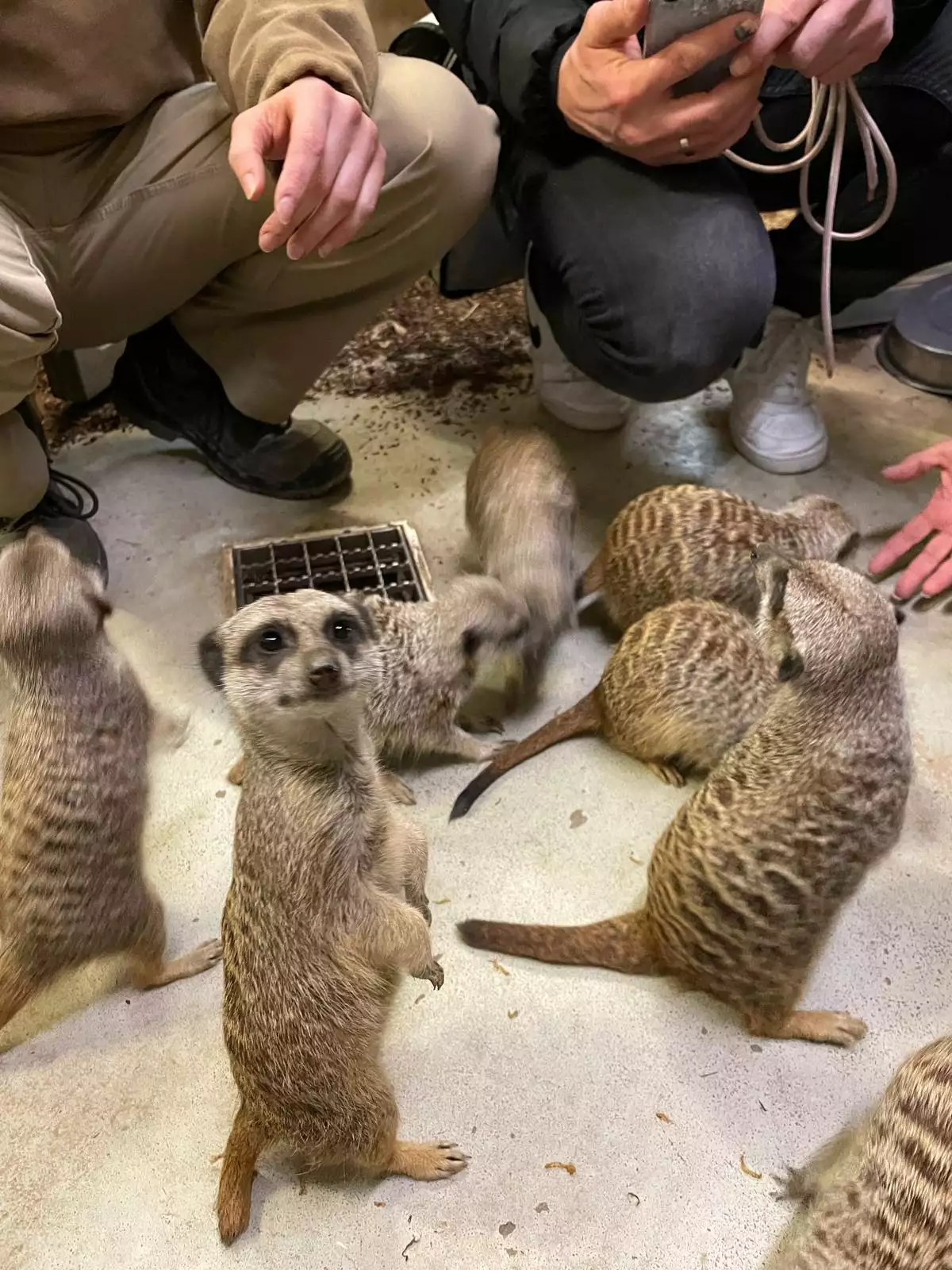 TransTecBau-Team besucht den Erlebnis-Zoo Hannover und trifft die Patentiere Carl und Ellie.
